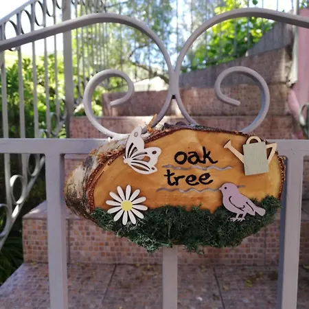 Oak Tree, Sea View Apartment, Karavomylos, Cephalonia קרבומילוס