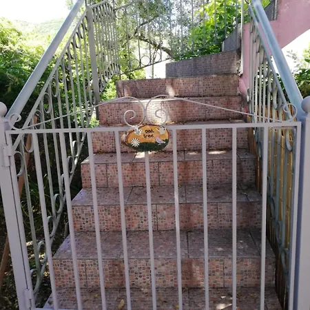 Oak Tree, Sea View Apartment, Karavomylos, Cephalonia קרבומילוס
