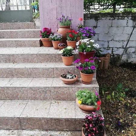 דירה Oak Tree, Sea View Apartment, Karavomylos, Cephalonia *